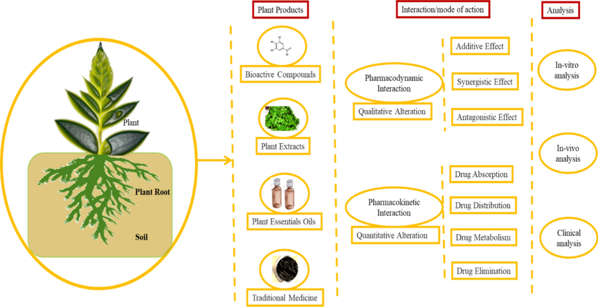 Online Ayurveda Body Type Course