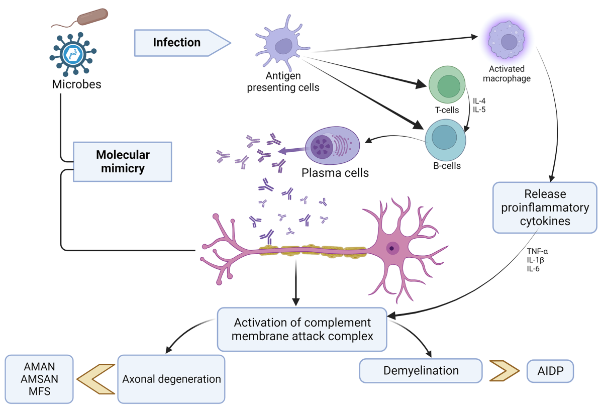 kb glutathione price mercury drugstore 2015 Resveratrol Alleviates Liver Fibrosis Induced by Long-Term Inorganic Mercury  Exposure through Activating the Sirt1/PGC-1 Signaling Pathway