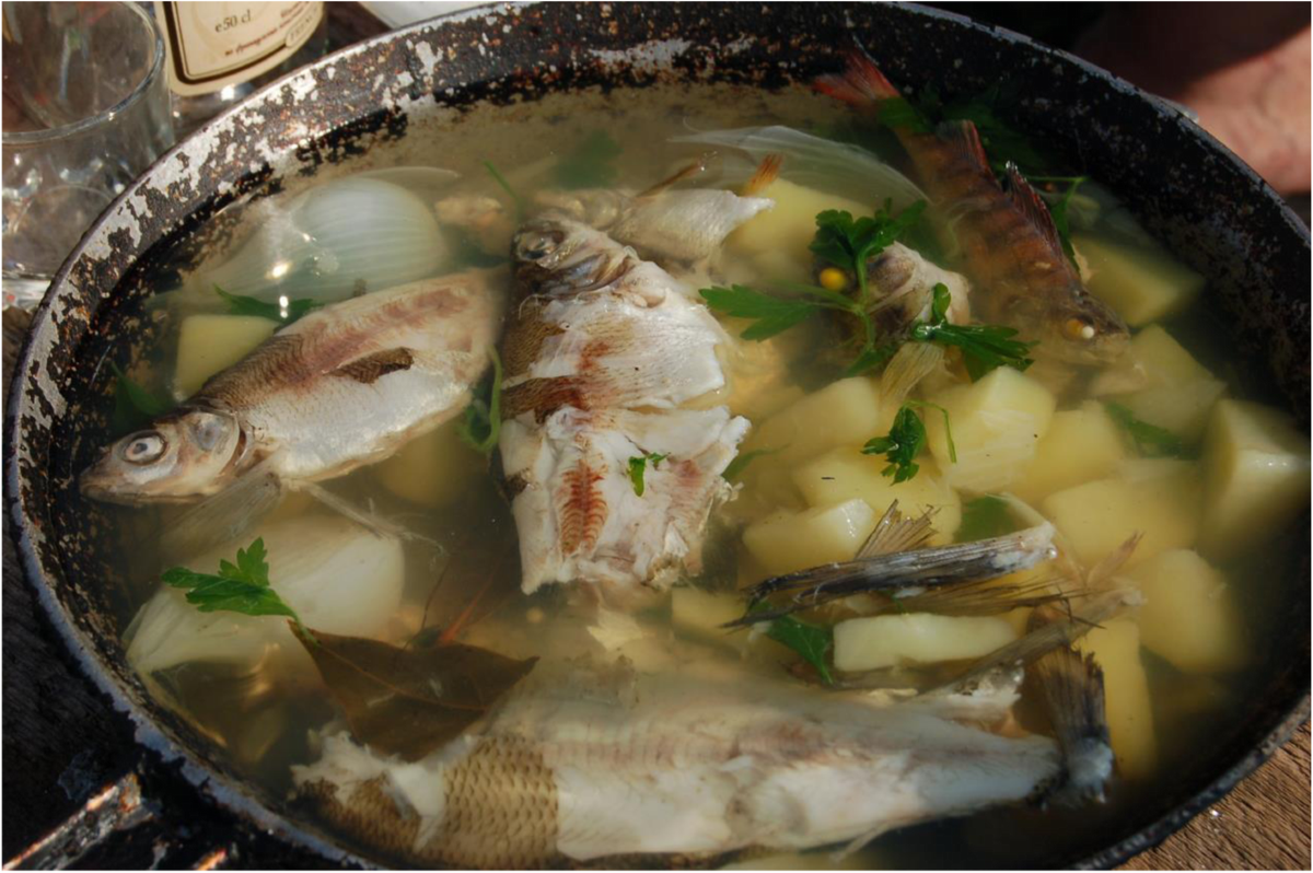 Caviar, soup and other dishes made of Eurasian ruffe, Gymnocephalus cernua  (Linnaeus, 1758): forgotten foodstuff in central, north and west Europe and  its possible revival, Journal of Ethnic Foods
