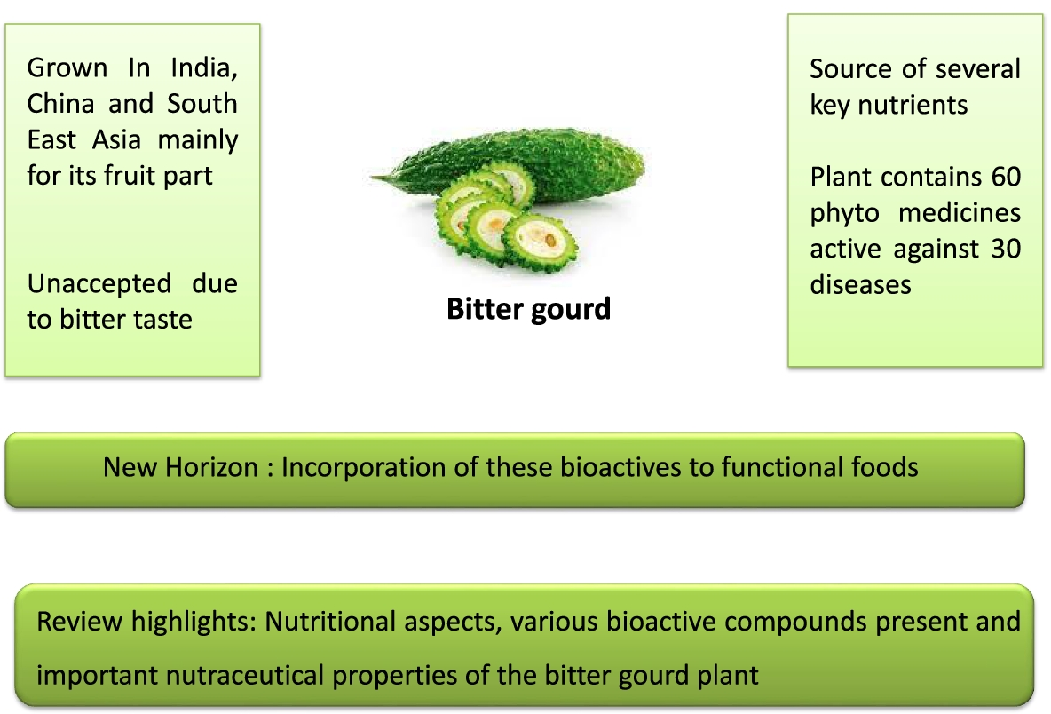 A comprehensive review on bitter gourd (Momordica charantia L.) as a gold  mine of functional bioactive components for therapeutic foods, Food  Production, Processing and Nutrition