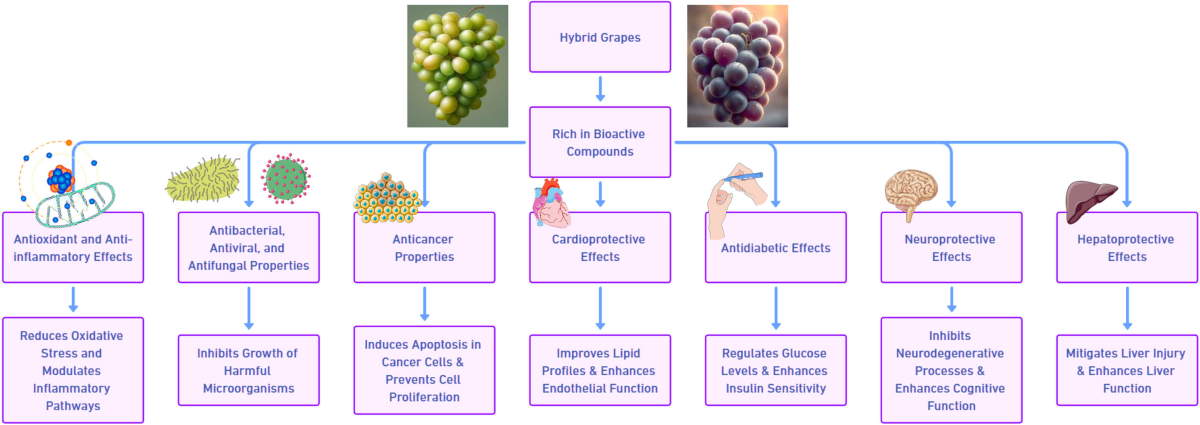 how to take ipamorelin cjc-1295 + ipamorelin how to take cjc1925 — Pure Health