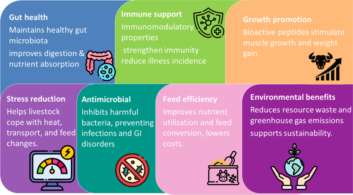 Postbiotics in food, feed, and culture media: mechanisms and applications  of microbial metabolites in sustainable systems | Food Production,  Processing and Nutrition | Springer Nature Link