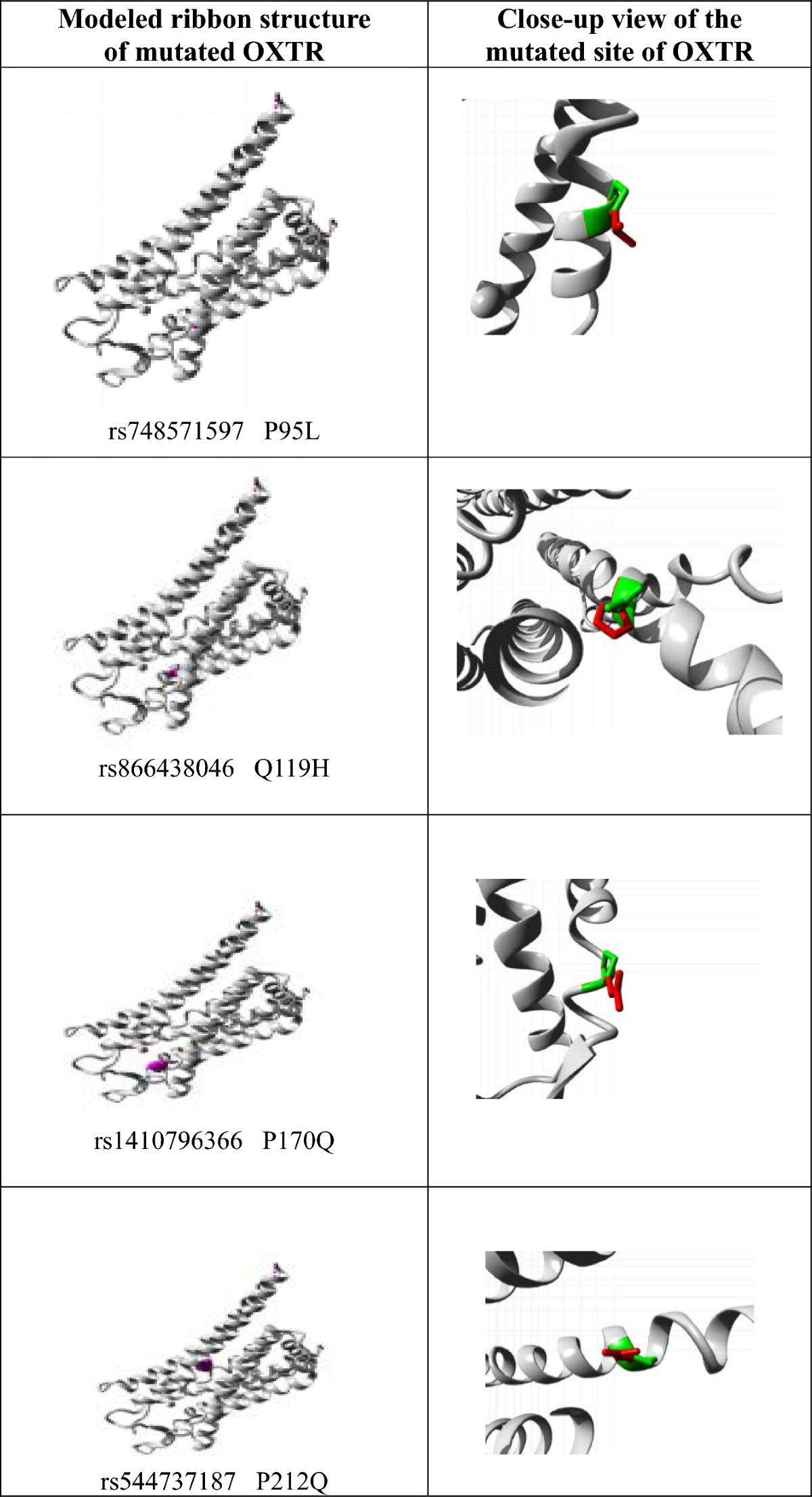 A comprehensive in silico investigation unravels the structural and  functional consequences of non-synonymous single-nucleotide polymorphisms  in human OXTR gene | Egyptian Journal of Medical Human Genetics | Springer  Nature Link