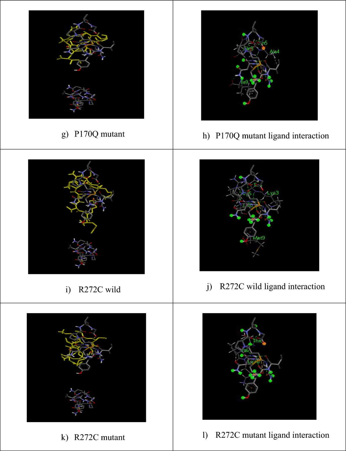 A comprehensive in silico investigation unravels the structural and  functional consequences of non-synonymous single-nucleotide polymorphisms  in human OXTR gene | Egyptian Journal of Medical Human Genetics | Springer  Nature Link