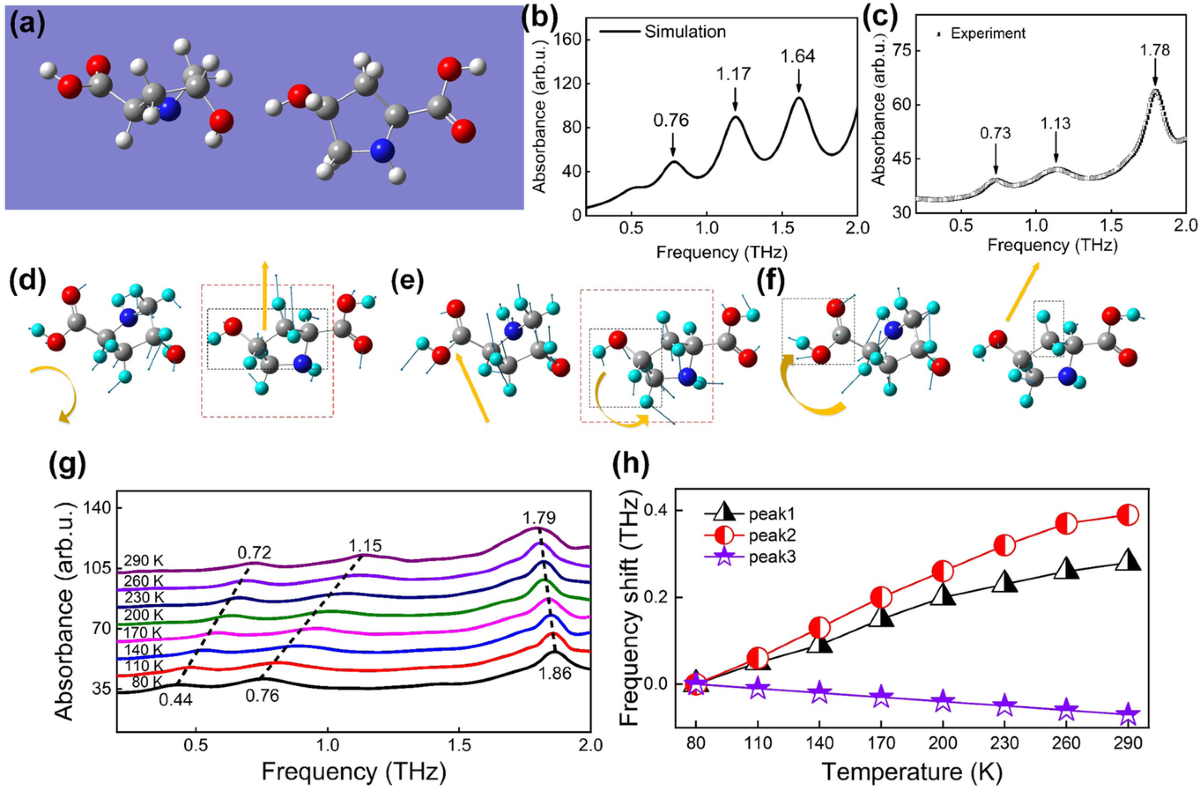 Three-step one-way model in terahertz biomedical detection 