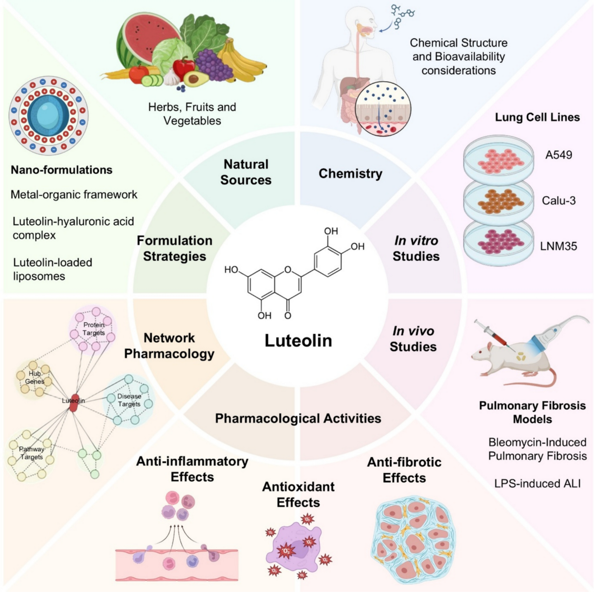 Luteolin as a multi-targeted polyphenol in pulmonary fibrosis: network  pharmacology, mechanistic insights, and formulation advances | Beni-Suef  University Journal of Basic and Applied Sciences | Springer Nature Link