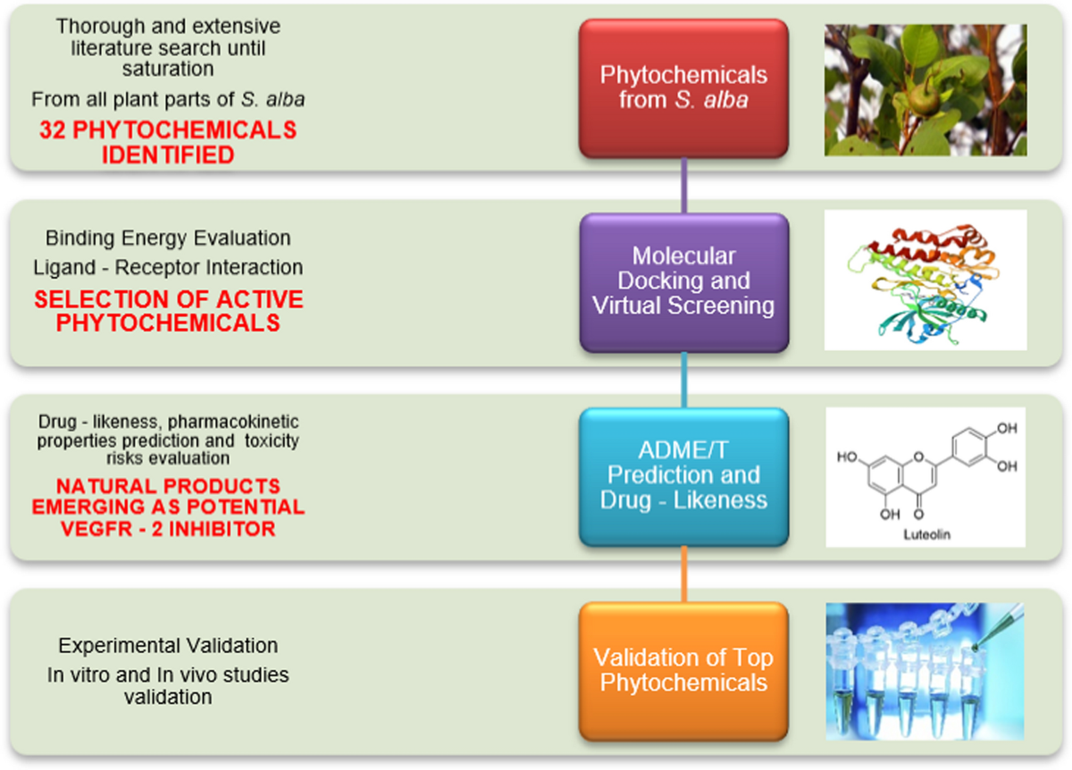 Maddelynn Hatter blocked Maxi Glamour on IG and Maxi alleges  racism/problematic behavior. Maddelynn responds… 👀 [Dragula post] :  r/RPDRDRAMA, image size:1200x862