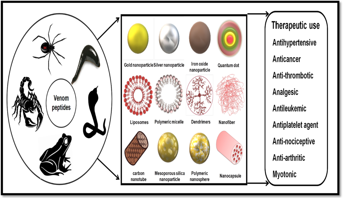 Therapeutic potential of venom peptides: insights in the  nanoparticle-mediated venom formulations | Future Journal of Pharmaceutical  Sciences
