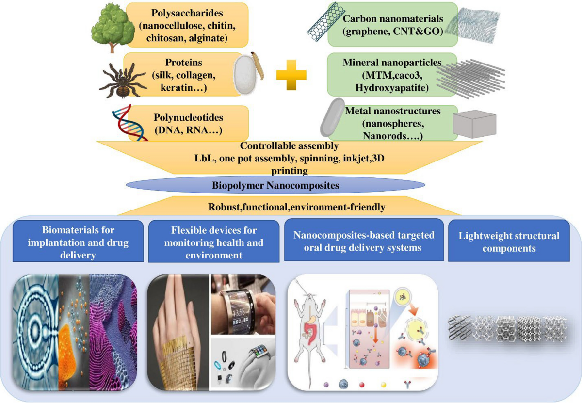 Nanocomposites in focus: tailoring drug delivery for enhanced therapeutic  outcomes | Future Journal of Pharmaceutical Sciences