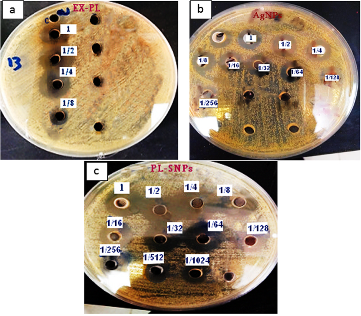 Enhancement of the antibacterial potential of plantaricin by incorporation  into silver nanoparticles | Journal of Genetic Engineering and  Biotechnology | Full Text