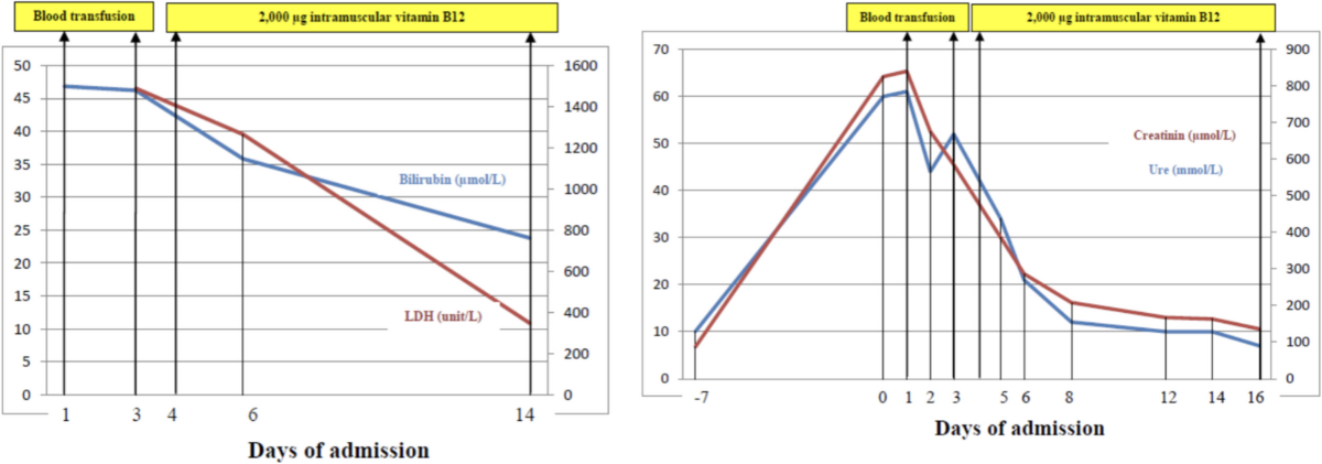 vitamin b12 injections in centerville Best B12 Shots in Chicago & Naperville 2026