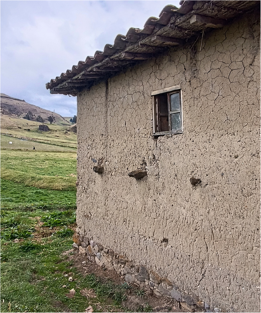 Ancestral construction techniques in southern Ecuador: from pre-Hispanic  cultures to contemporary practices | Built Heritage | Springer Nature Link