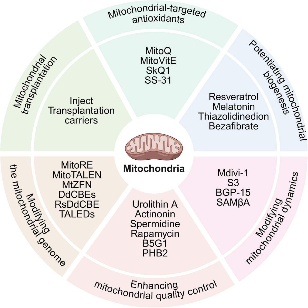 is ipamorelin banned by wada Are Peptides Legal Again in 2026? Here is what RFK Jr. Just Announced is ipamorelin banned by wada Are Peptides Legal Again in 2026? Here is what RFK Jr. Just Announced