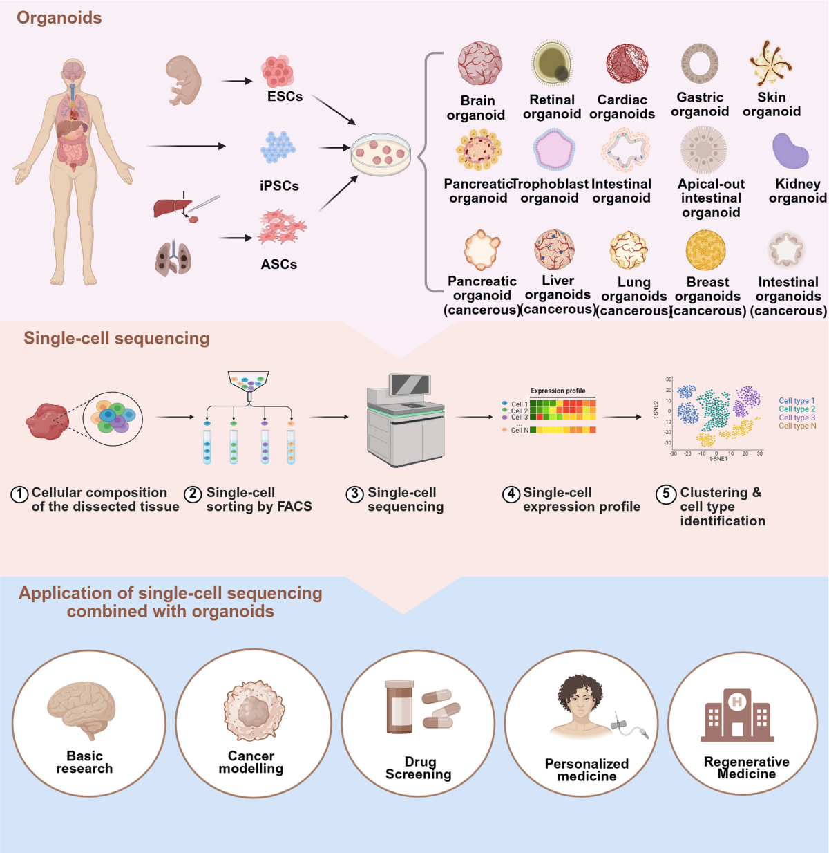 Mount Holyoke Alumnae Quarterly - Spring 2024 - Class Notes 1980s-1990s, image size:1200x1234