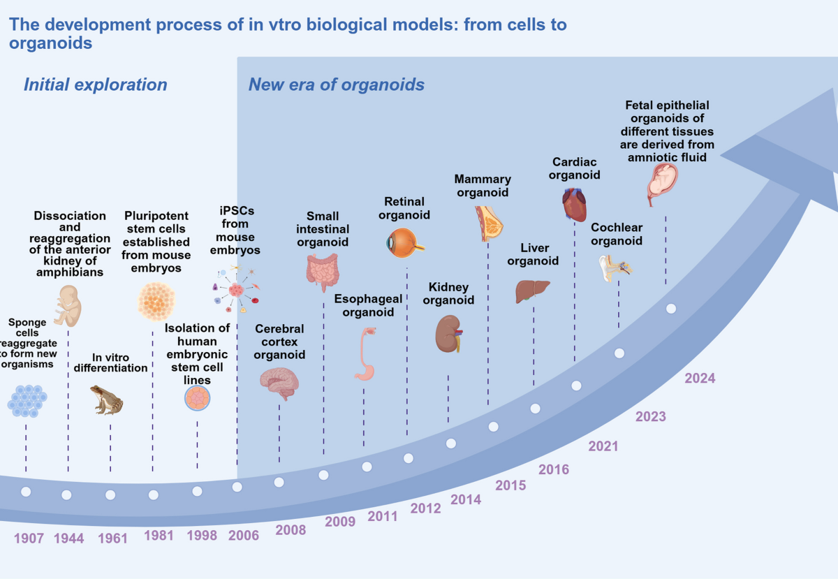 From the Archives of the AFIPRadioGraphics, image size:1200x829
