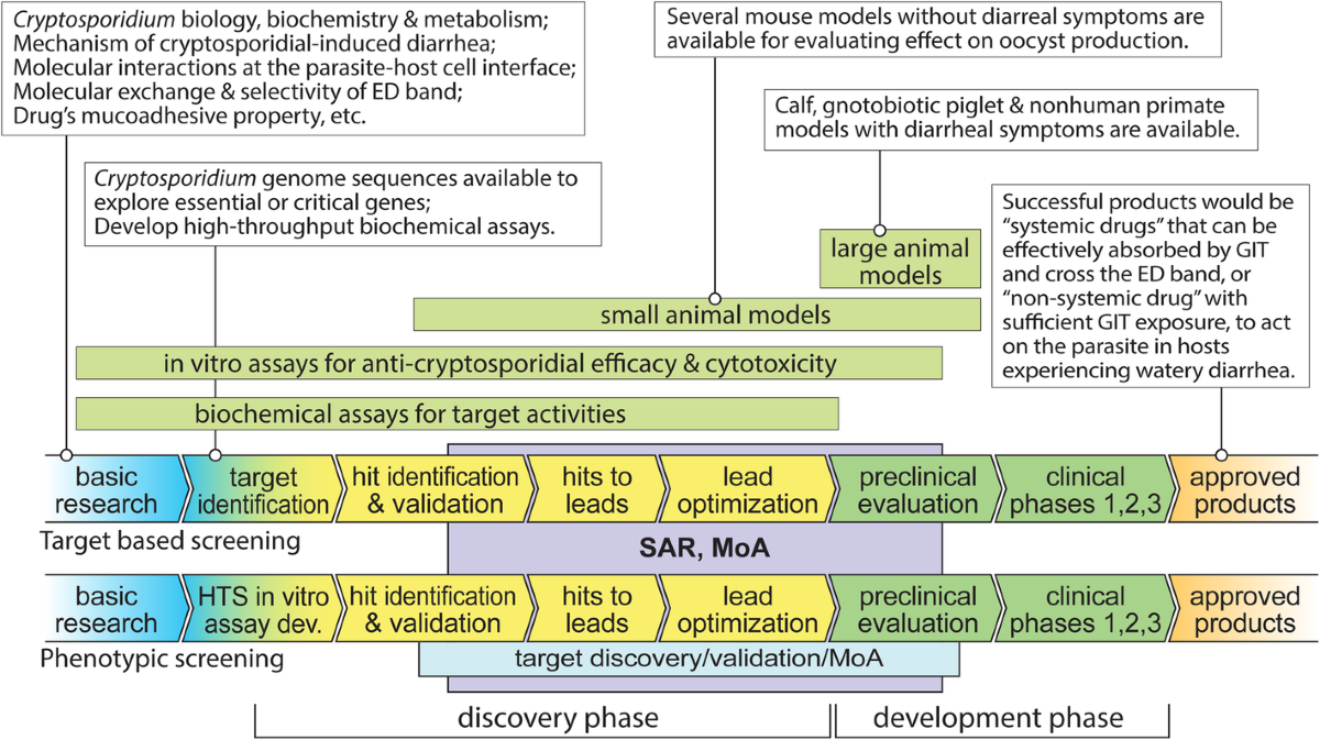 Current status and challenges in drug discovery against the globally  important zoonotic cryptosporidiosis | Animal Diseases | Springer Nature  Link