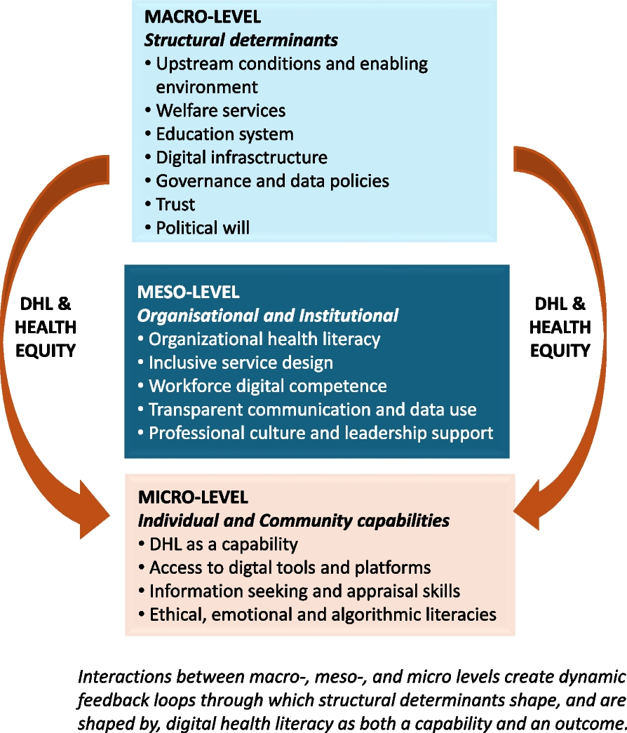 Understanding digital health literacy as a structural determinant of health  and public health capability | BMC Global and Public Health