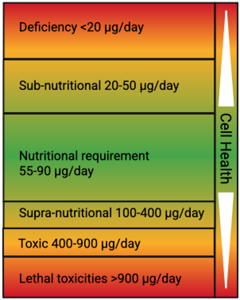 healthy origins l glutathione reduced Page 1 - Reviews - Origins, L-Glutathione Reduced, 500 mg, 150 Veggie Caps Selenium nanoparticles and the epigenetic