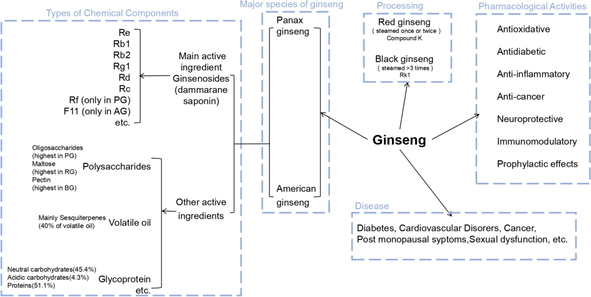 l carnitine efeitos secundarios Possveis efeitos adversos da L-Carnitina