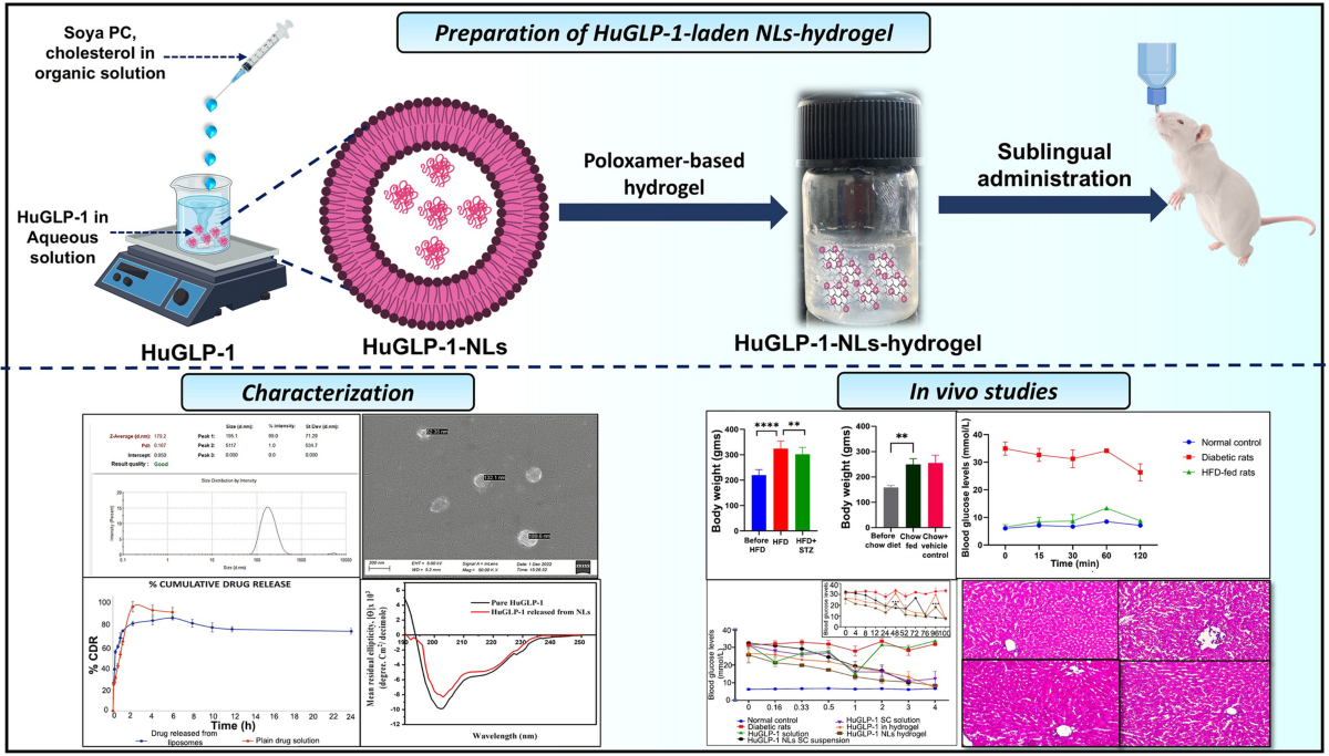 sublingual delivery glp-1 receptor agonists Sublingual Delivery of Human GLP-1 Loaded Nanoliposomal Hydrogel for  Treatment of Type 2 Diabetes Mellitus | AAPS PharmSciTech