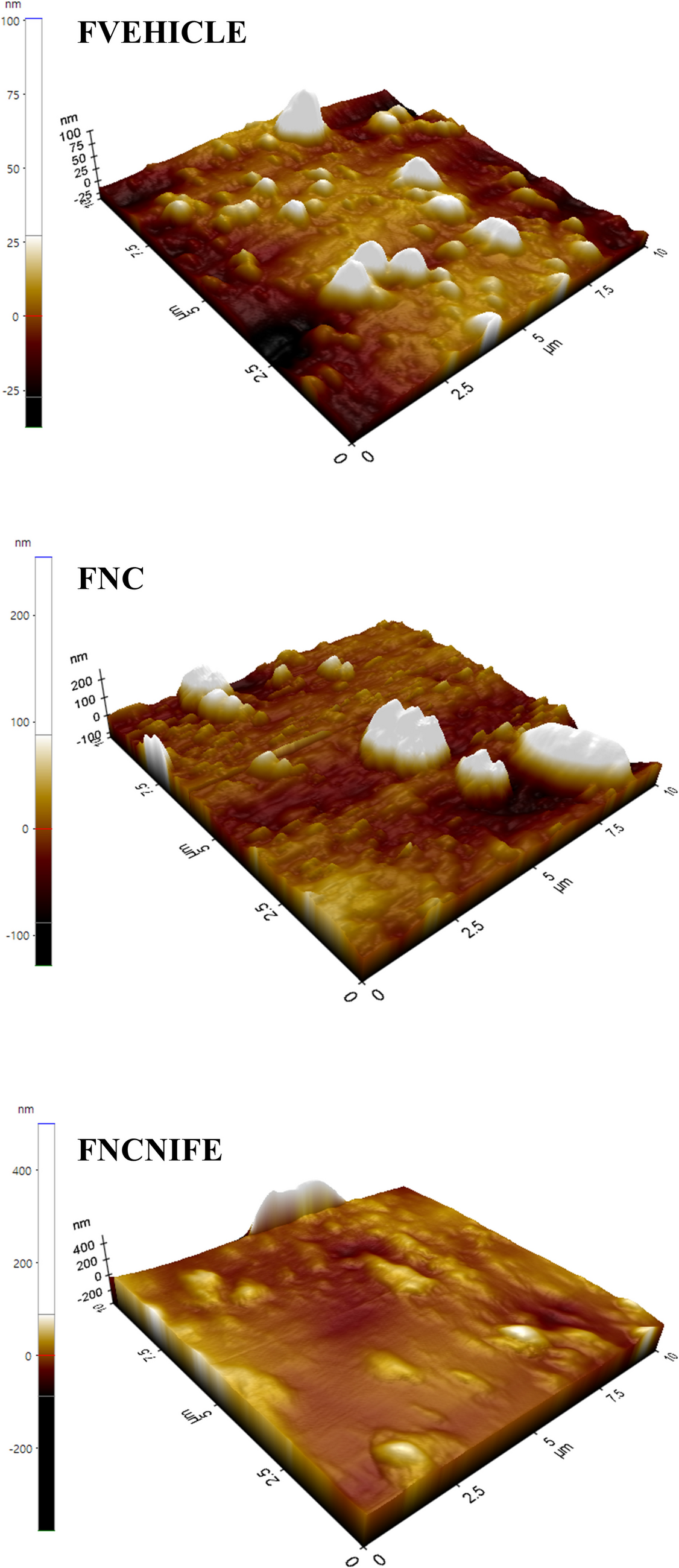Irish Pharmacist Feb 2025 by GreenX Publishing - Issuu, image size:1126x2599