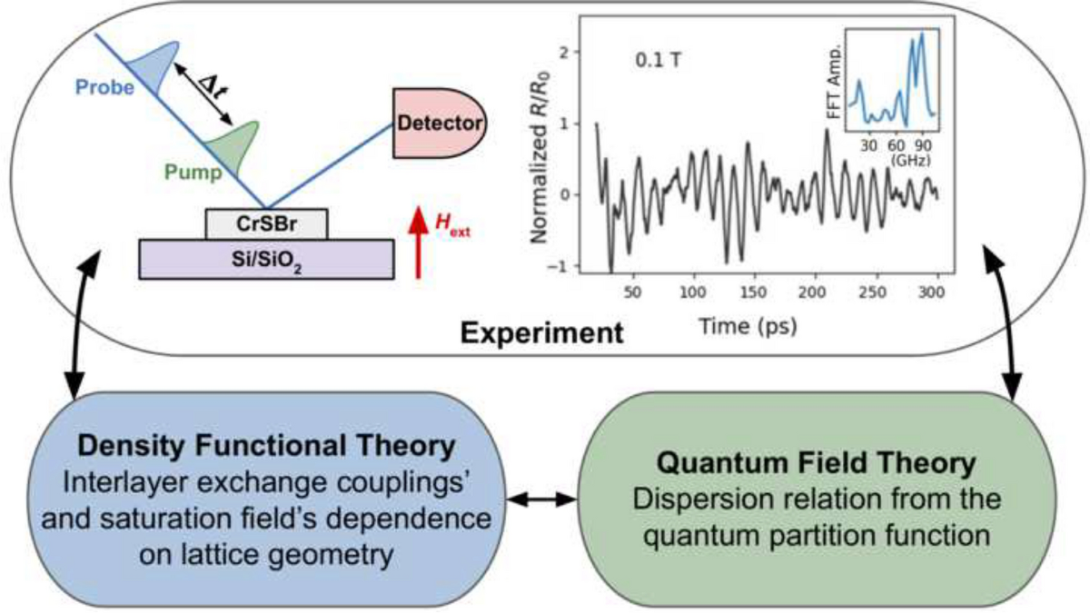 Understanding spin waves in 2D magnets: A combined experimental,  computational, and mathematical theory approach | MRS Advances