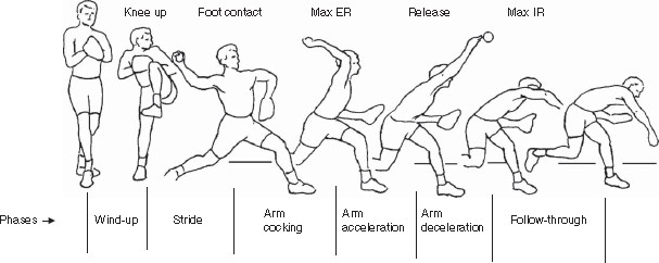 Shoulder Muscle Recruitment Patterns and Related Biomechanics