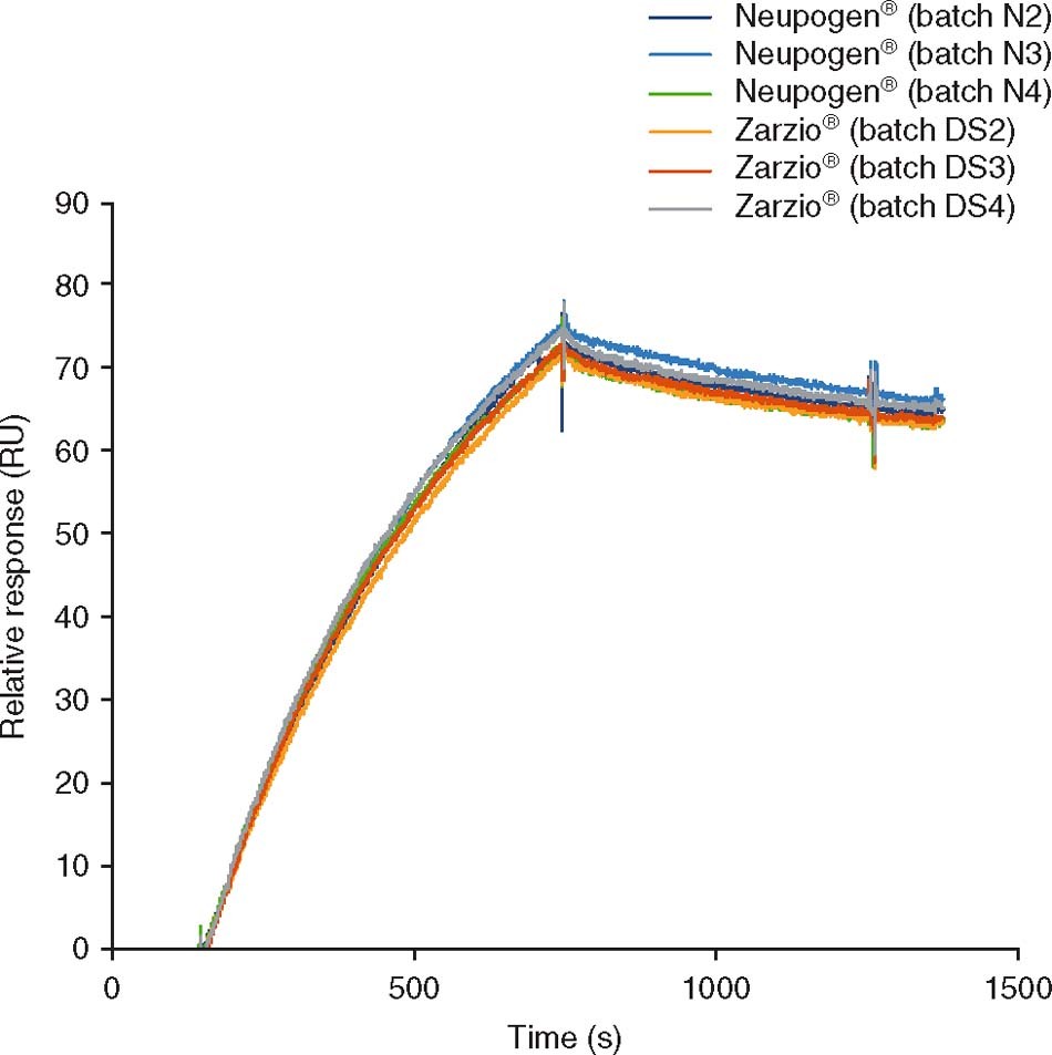Physicochemical and Biologic Comparability of a Biosimilar Granulocyte  Colony-Stimulating Factor with its Reference Product | BioDrugs