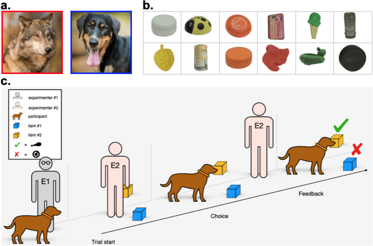 What Is Positive Thinking - 5 Ways In How To Have A Positive Mindset