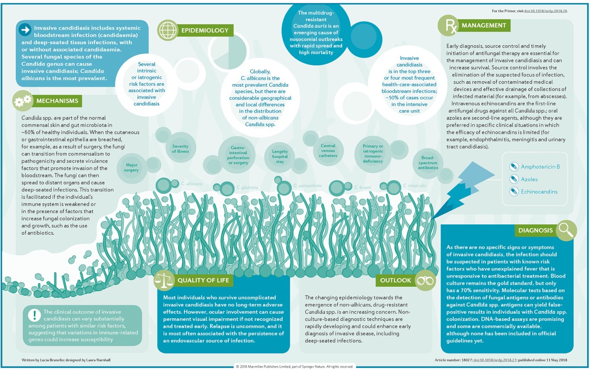 Invasive Candidiasis | Nature Reviews Disease Primers