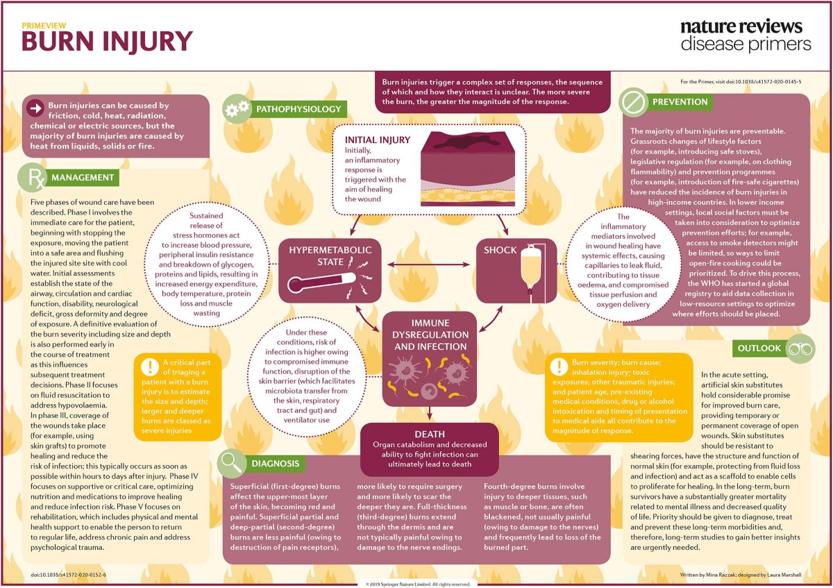 Burn injury Nature Reviews Disease Primers