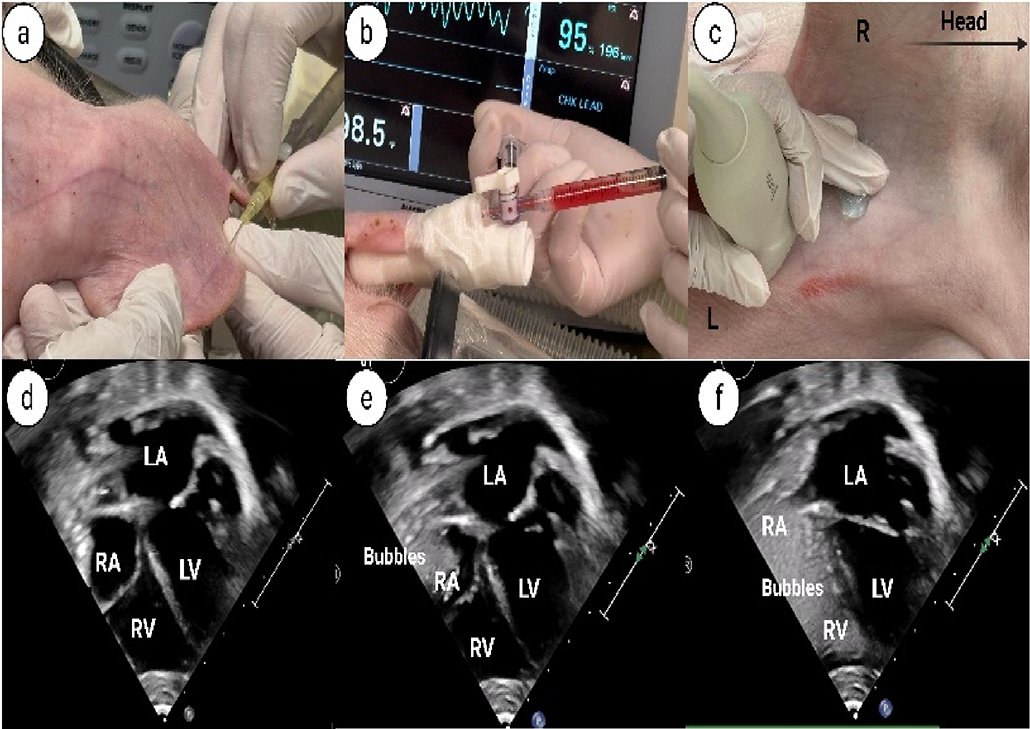 View full size image