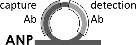 View full size image