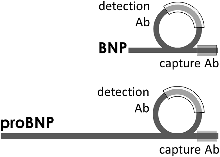 View full size image