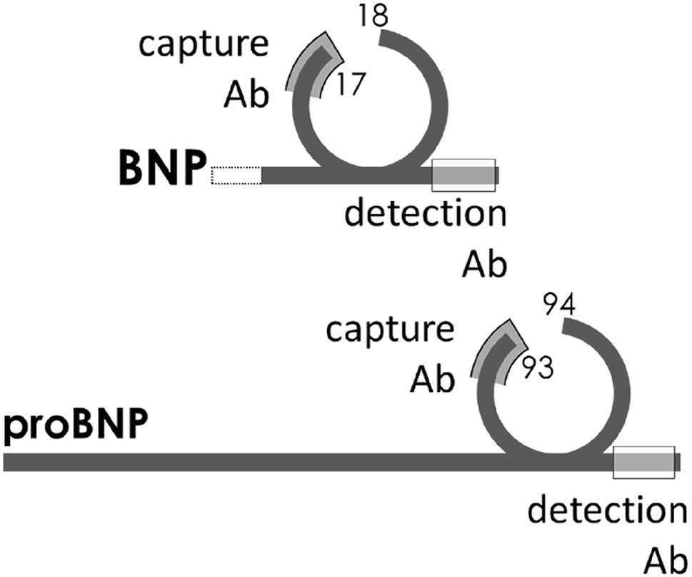 View full size image