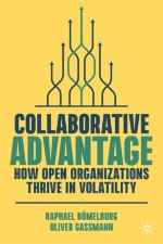 Dynamics of Collaborative Innovation