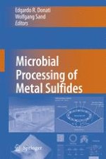 Microorganisms Involved in Bioleaching and Nucleic Acid-Based Molecular Methods for Their Identification and Quantification