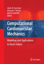 In Vivo Left Ventricular Geometry and Boundary Conditions