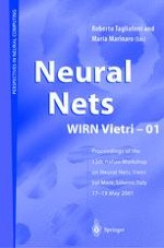 Computation in Neuromorphic Analog VLSI Systems