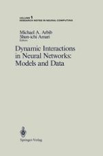 Dynamic Interaction in Neural Networks: An Introductory Perspective