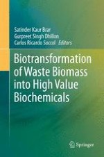 Waste Biomass: A Prospective Renewable Resource for Development of Bio-Based Economy/Processes