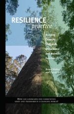 Preparing for Practice: The Essence of Resilience Thinking