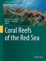 The Red Sea: Environmental Gradients Shape a Natural Laboratory in a Nascent Ocean