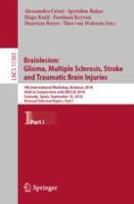 Multimodal Patho-Connectomics of Brain Injury