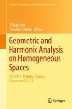 Monomial Representations of Discrete Type of an Exponential Solvable Lie Group