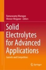 Solid-State Electrolytes: Structural Approach