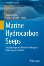 Microbial Communities and Metabolisms at Hydrocarbon Seeps