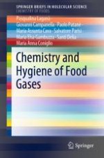Food Gases: Classification and Allowed Uses