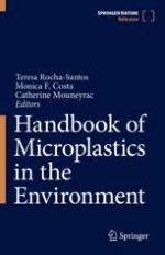 Introduction to the Analytical Methodologies for the Analysis of Microplastics