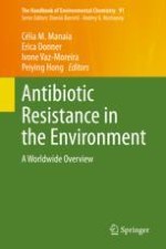 Antibiotic Resistance in the Environment: Expert Perspectives